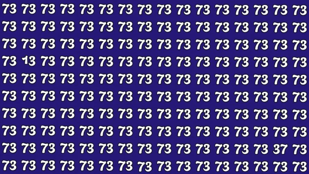 Can You Spot The Hidden Numbers 13 And 37 In 7 Seconds