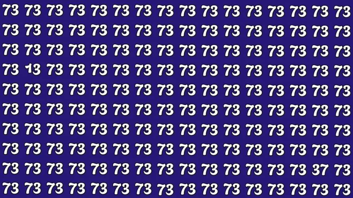 Can You Spot The Hidden Numbers 13 And 37 In 7 Seconds