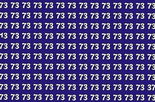 Can You Spot The Hidden Numbers 13 And 37 In 7 Seconds