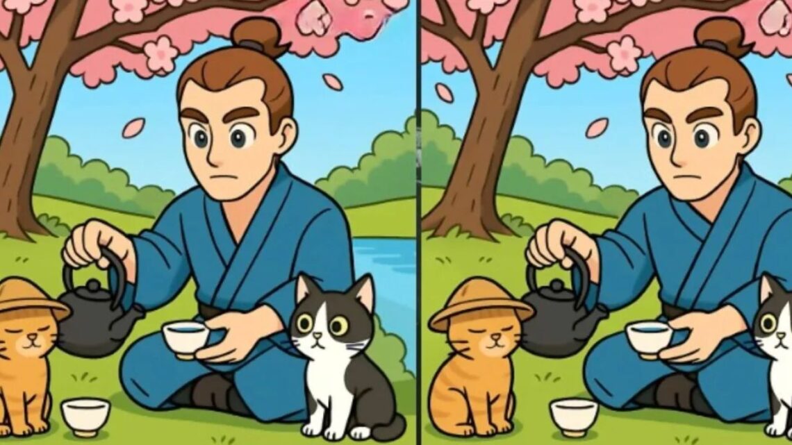 Find 3 Differences- Man Drinking Tea With Cats – Beat The 51-Second Challenge!