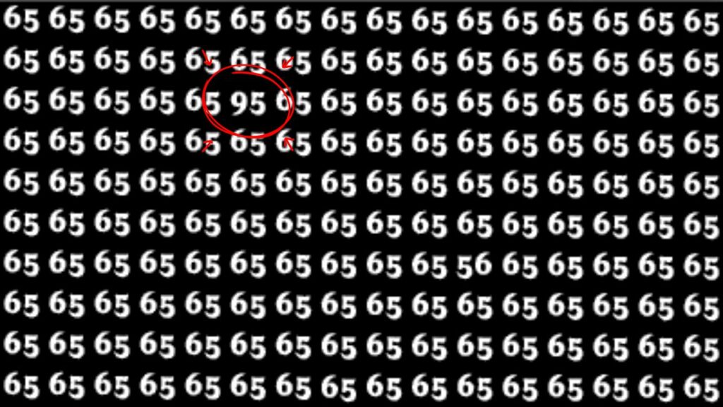 Hidden Number Puzzle - Can You Spot “95” Among “65s” In Just 13 Seconds