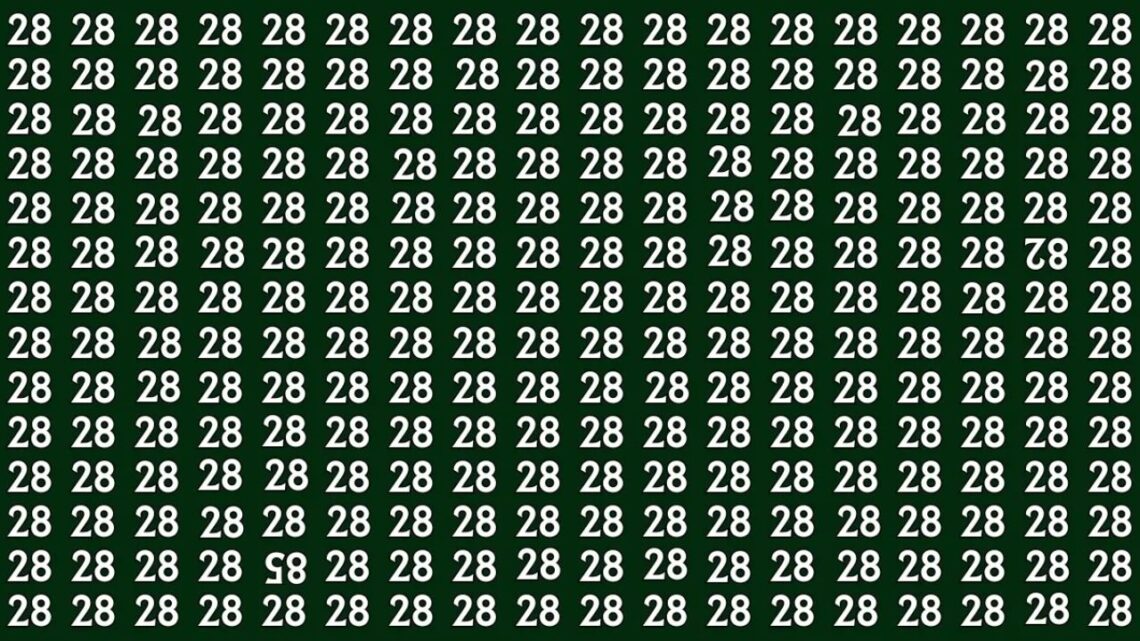 Mind-Bender Alert: “Spot the Inverted 82 & 85 Among a Sea of 28s — Can You Do It in 6 Seconds?”