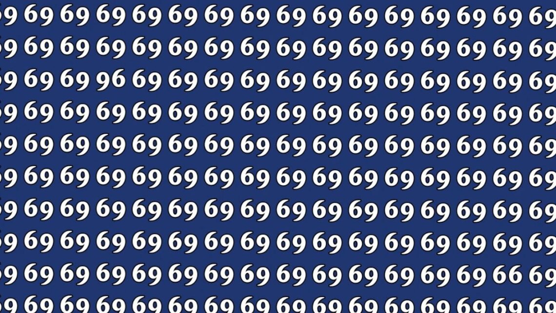 Optical Illusion Challenge- Can You Spot 96 And 66 Among The 69s In 6 Seconds?
