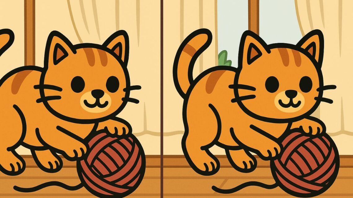 Spot 3 Differences- Cat With Yarn—Can You Beat 43 Seconds