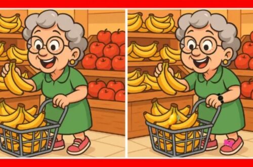 Spot The Difference Challenge- Can You Detect 3 Changes In The Woman Shopping Picture Within 7 Seconds?