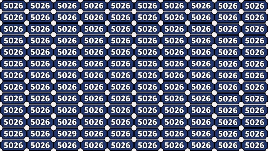 Can You Find The Hidden 5029 In This Optical Illusion Within 6 Seconds