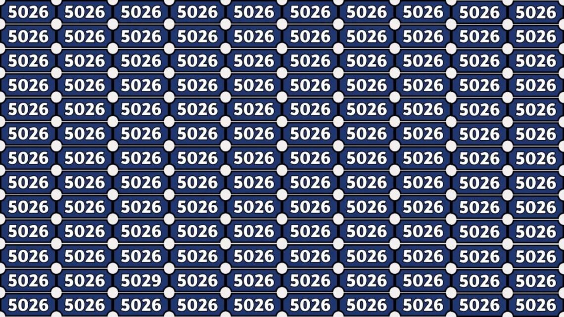 Can You Find The Hidden 5029 In This Optical Illusion Within 6 Seconds