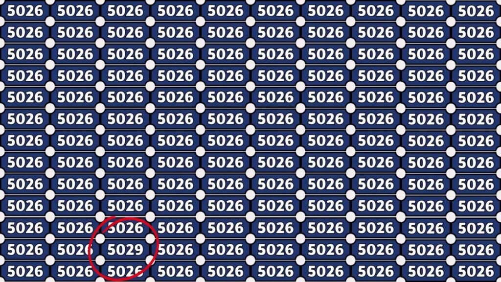 Can You Find The Hidden 5029 In This Optical Illusion Within 6 Seconds