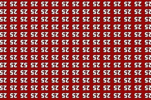 Can You Spot The Hidden 52 In This Optical Illusion In Just 6 Seconds