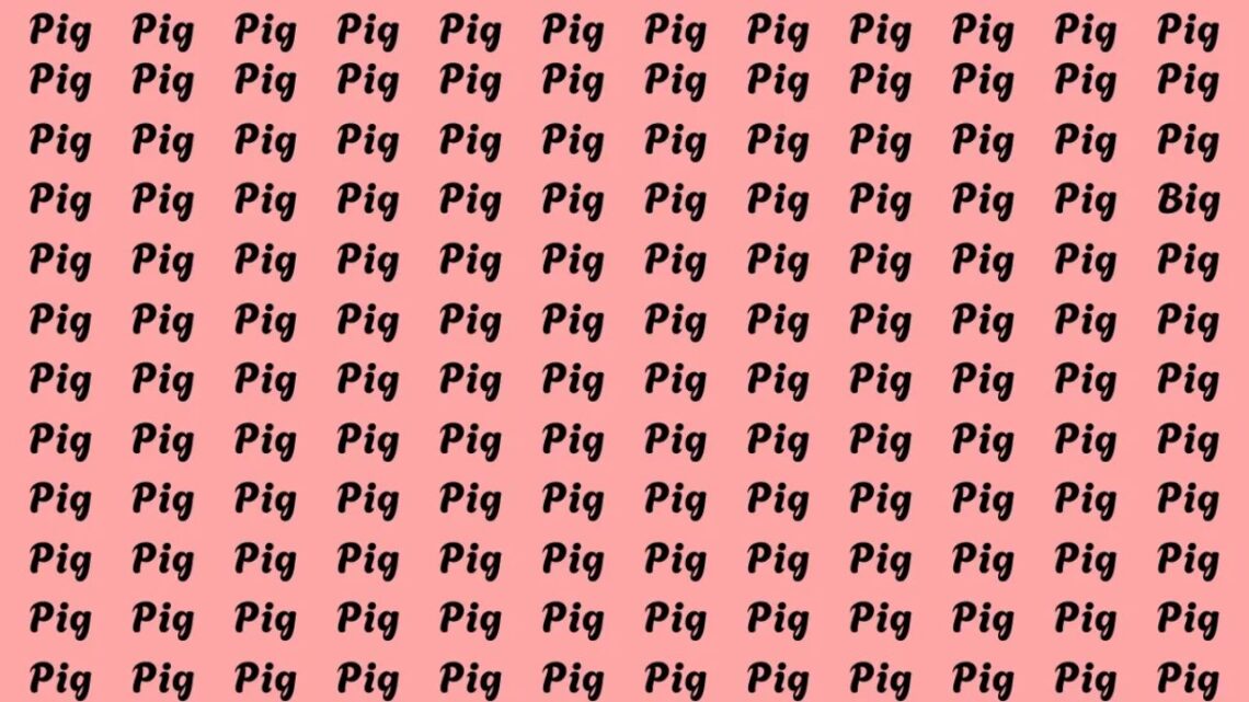 Can You Spot The Word "Big" Hidden Among The "Pigs"? Take This Optical Illusion Test!